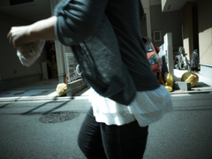 camucamu_20140912_98