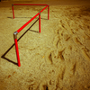 camucamu_20140311_17