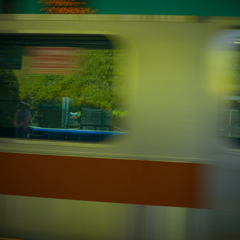 camucamu_20140524_75