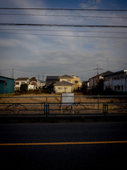 camucamu_20141210_04