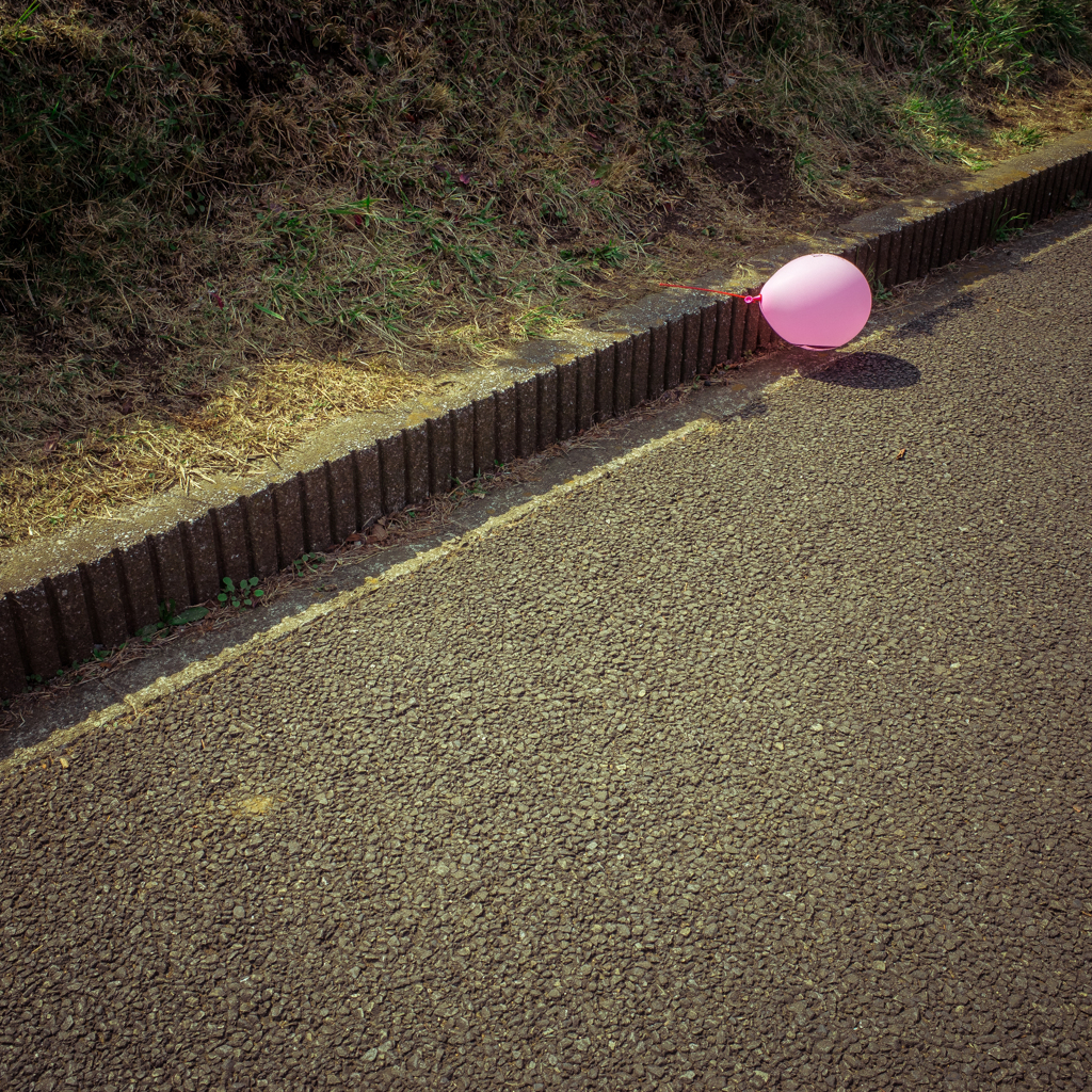 camucamu_20140318_28
