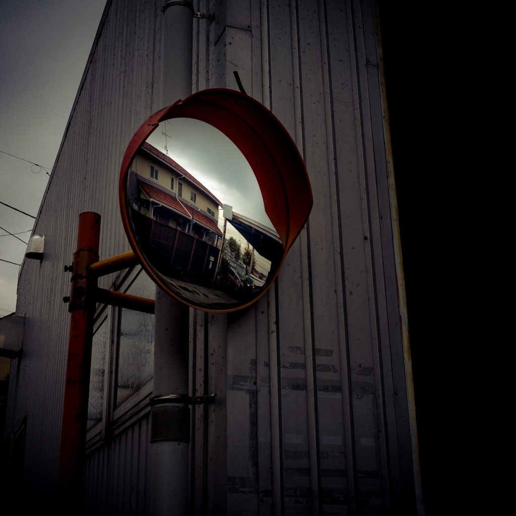 camucamu_20141128_156