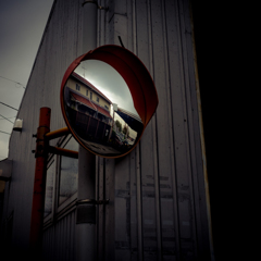 camucamu_20141128_156