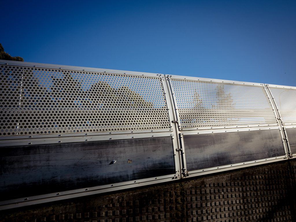 camucamu_20141207_02