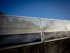 camucamu_20141207_02