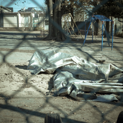 camucamu_20141203_169