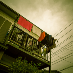 camucamu_20140314_21