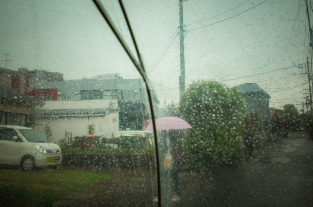 camucamu_20140421_66