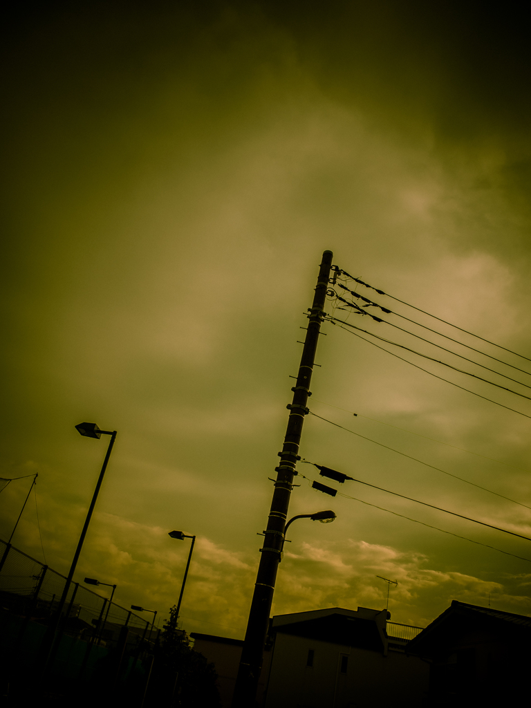 camucamu_20141210_02