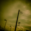 camucamu_20141210_02