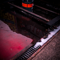 camucamu_20141128_154