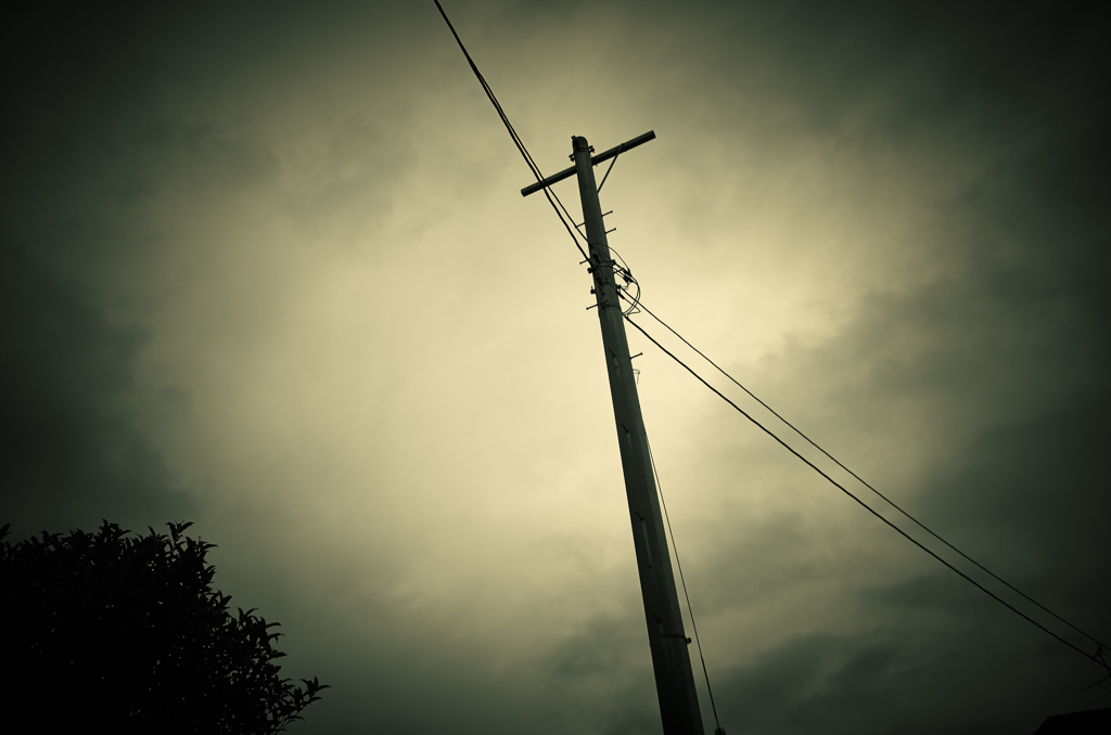 camucamu_20140608_78