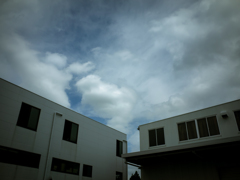 camucamu_20140913_99