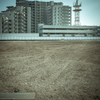 camucamu_20141209_02