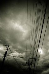 camucamu_20140629-2_80