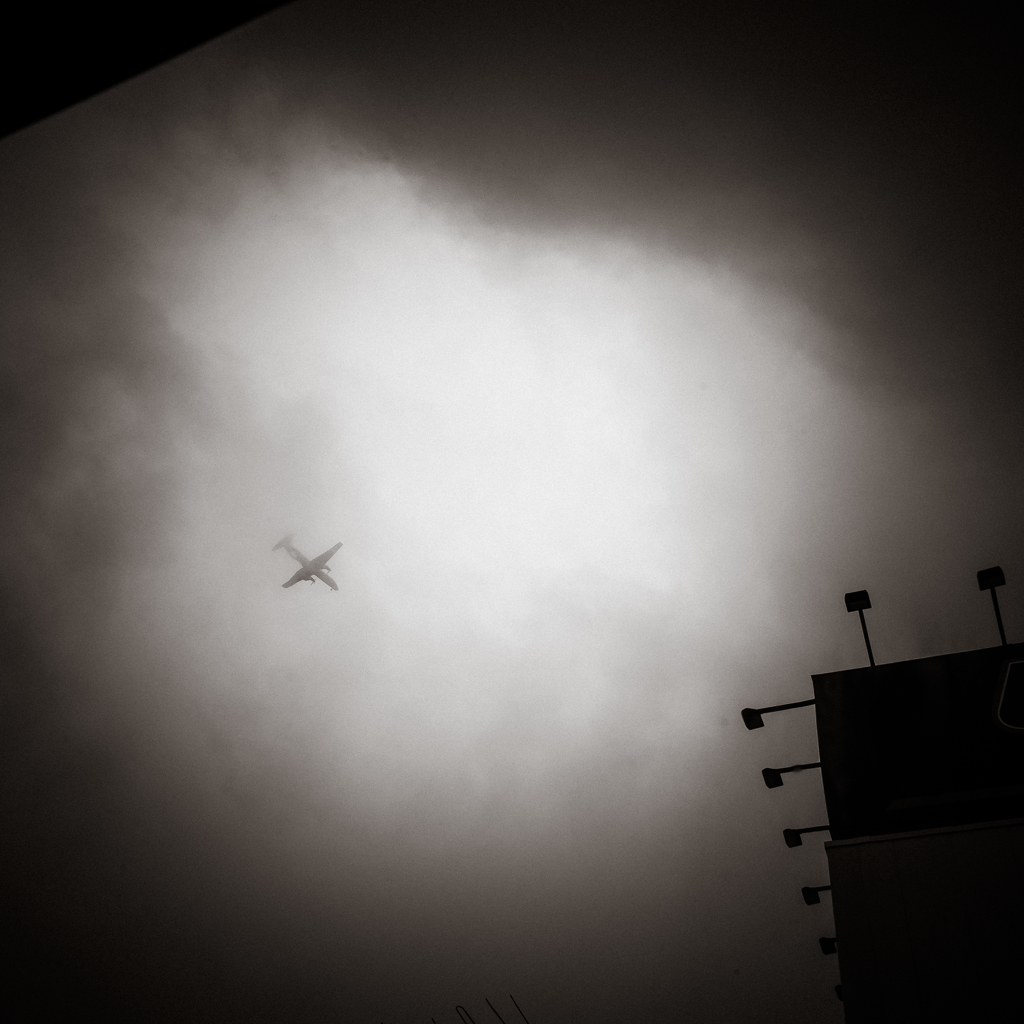 camucamu_20140430_68