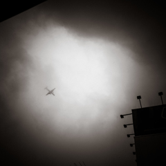 camucamu_20140430_68
