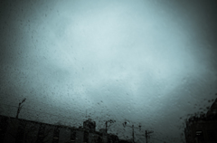 camucamu_20140327_45