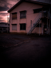 camucamu_20141210_03