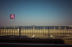 camucamu_20140323_41