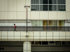 camucamu_20141004_111