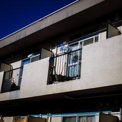 camucamu_20141203_173