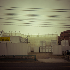 camucamu_20140301_09