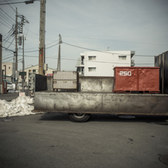 camucamu_20140220_04