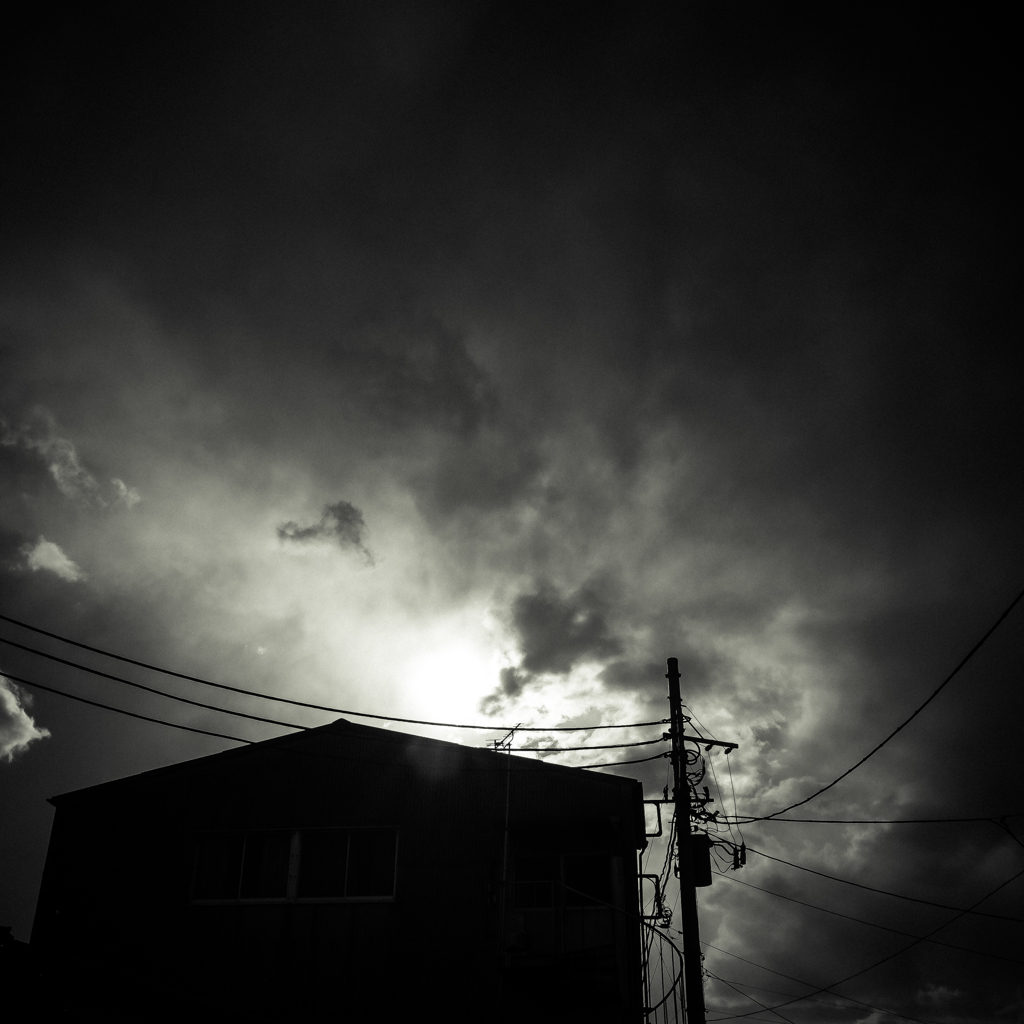 camucamu_20140310_14