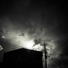 camucamu_20140310_14