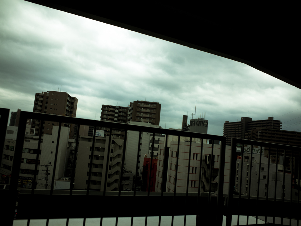 camucamu_20140816_91