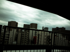camucamu_20140816_91