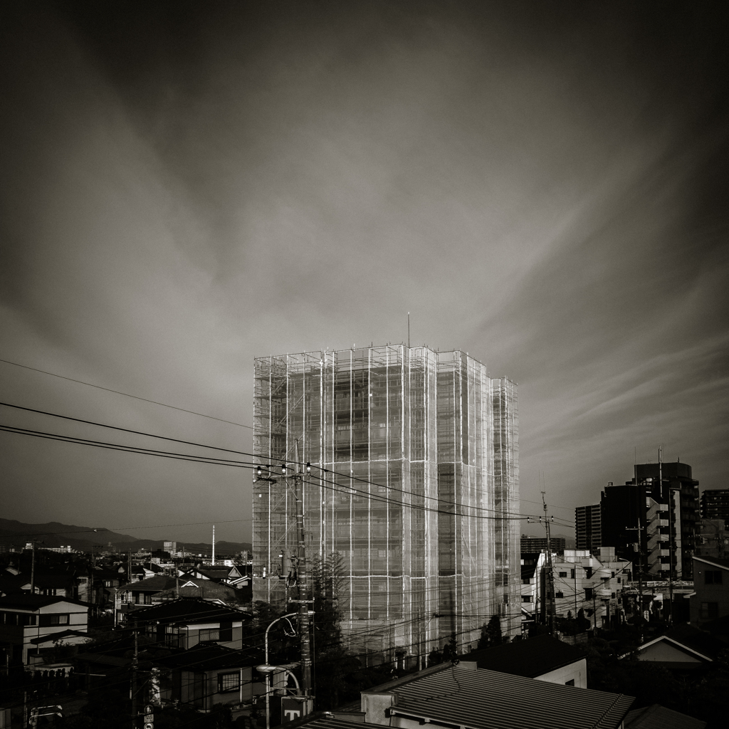 camucamu_20140411_57