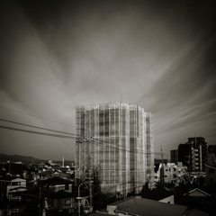 camucamu_20140411_57