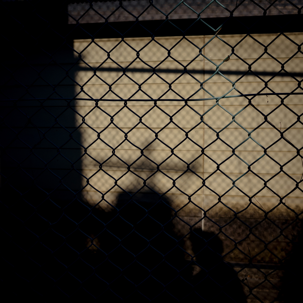camucamu_20141122_140
