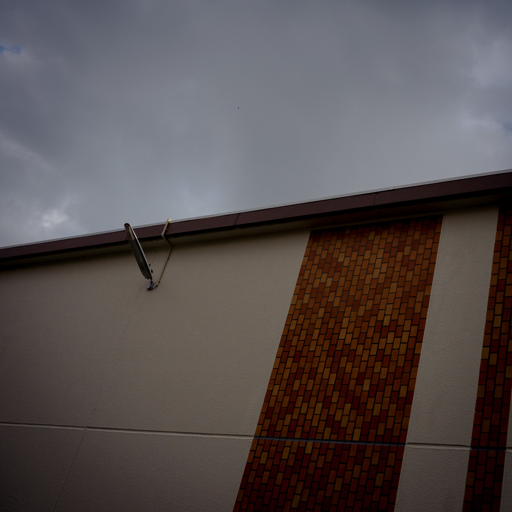 camucamu_20141130_158