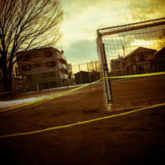 camucamu_20140223_05