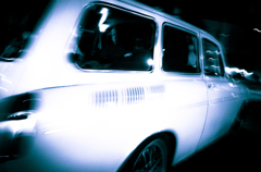 camucamu_20141115_139