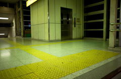 camucamu_20150103_12