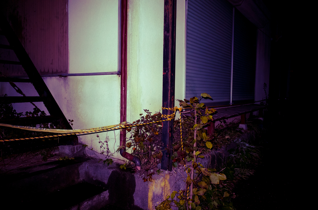 camucamu_20141106_132