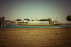 camucamu_20140411_58