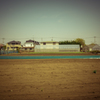 camucamu_20140411_58