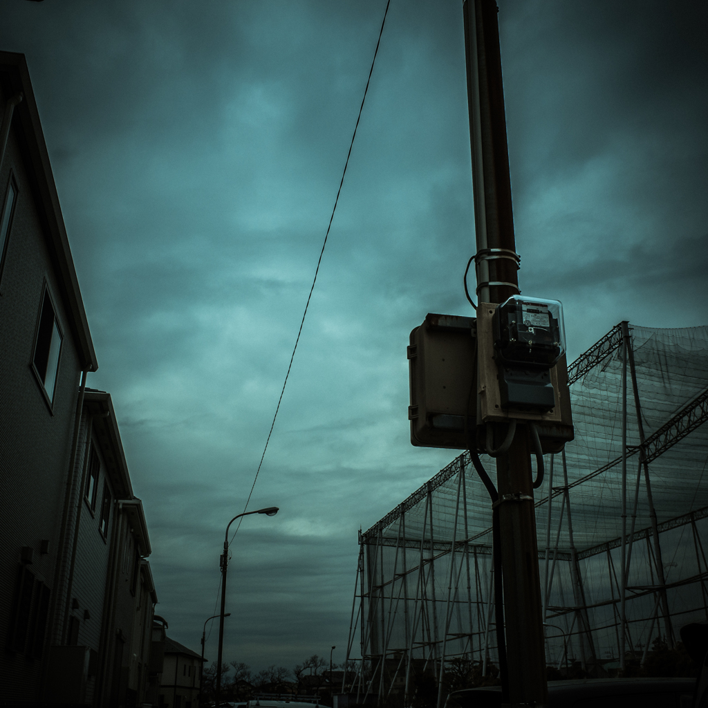 camucamu_20140319_32