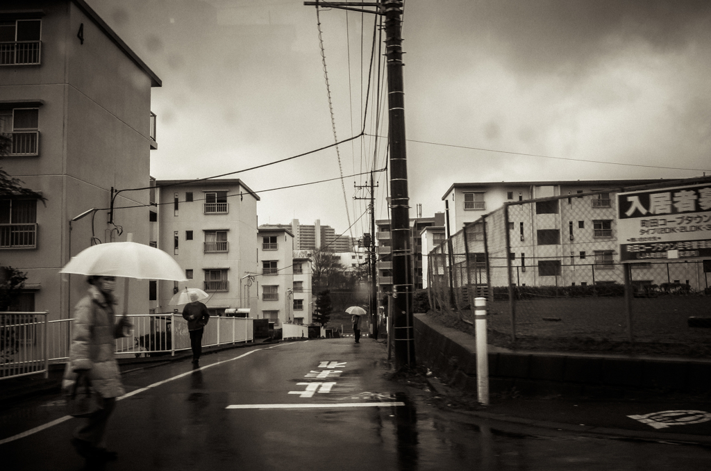 camucamu_20140327_46
