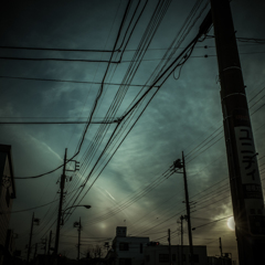 camucamu_20140407_55