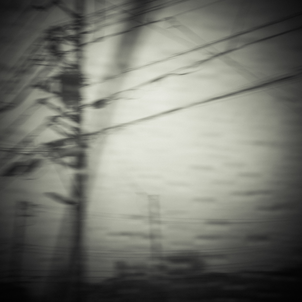 camucamu_20140302_11