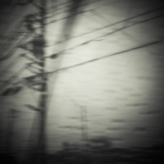 camucamu_20140302_11