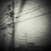 camucamu_20140302_11