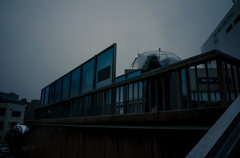 camucamu_20141220_06