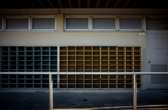 camucamu_20141214_02